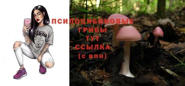 а пвп мука Арсеньев