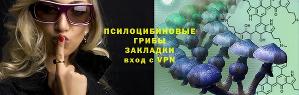 крисы Аркадак