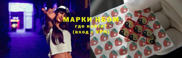крисы Аркадак