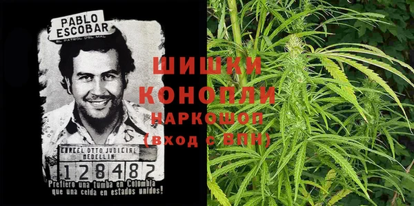 крисы Аркадак